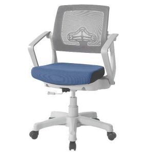 Ортопедическое кресло для школьника Falto Robo С-250 белый каркас
