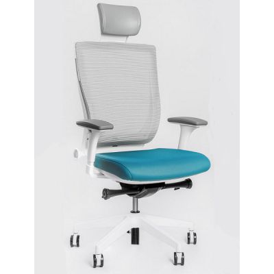    Falto Trium    -      - "  "