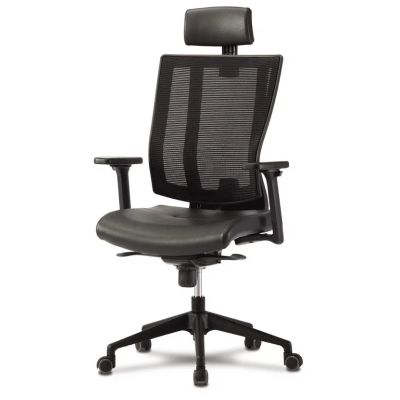    Falto Promax Leather -      - "  "