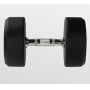   Bronze Gym BG-PA-DB-R225 22.5 
