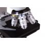 Микроскоп монокулярный Bresser Erudit DLX 40–600x