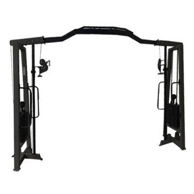  Bronze Gym AL-702 -      - "  "