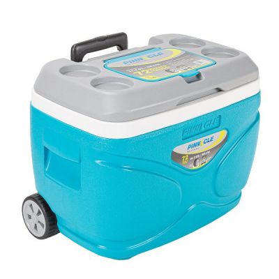 Изотермический контейнер Pinnacle TPX-3007 Prudence 30 L - купить по специальной цене в интернет-магазине "Уют в доме"