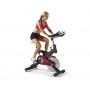 - Sole Fitness SB700