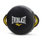   Everlast Punch