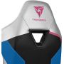 Кресло компьютерное игровое ThunderX3 TC3 Limited Editio