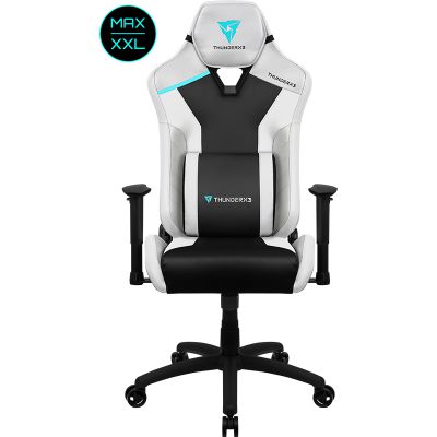    ThunderX3 TC3 MAX -      - "  "