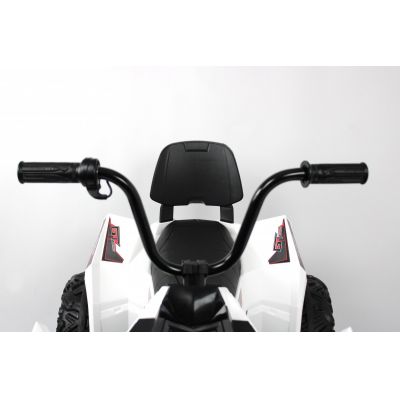  Rivertoys A333AA 4WD -      - "  "