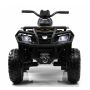 Детский электроквадроцикл Rivertoys T001TT 4WD