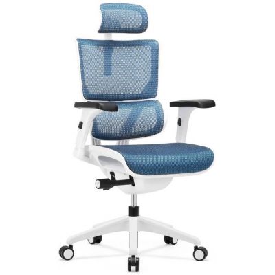    Falto Expert Vision -      - "  "