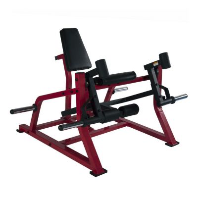     Protrain SM790 -      - "  "