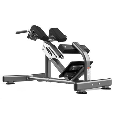  Realleader FW-1006 -      - "  "