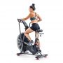   Schwinn Airdyne AD8 (100475)
