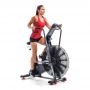   Schwinn Airdyne AD8 (100475)