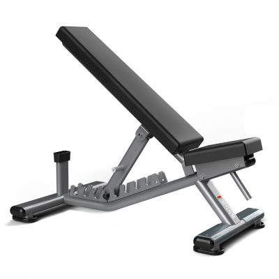   Realleader FW-1013 -      - "  "