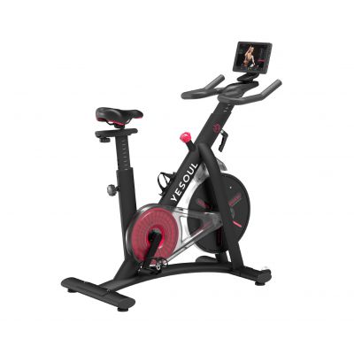 - Yesoul BS3-B-10.1 -      - "  "