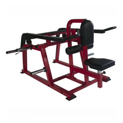   Protrain SM784 -      - "  "