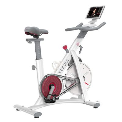 - Yesoul BS3-W-10.1  -      - "  "