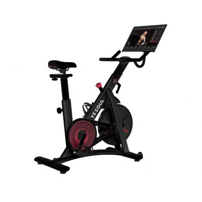 - Yesoul BS3-B-21.5  -      - "  "