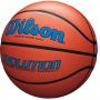   Wilson Evolution 295 WTB0595XB0704 .7