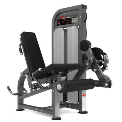     Realleader PF-1007 -      - "  "