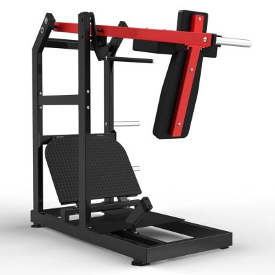   Realleader HSPro-2006 -      - "  "