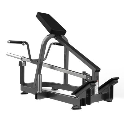   Realleader FW-2012 -      - "  "