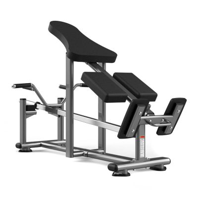   Realleader FW-1011 -      - "  "