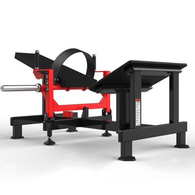   Realleader HS-1049A -      - "  "