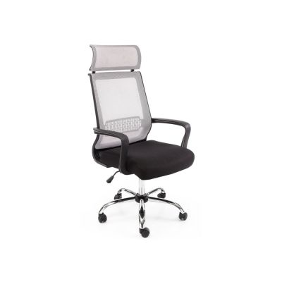    Woodville Lion -      - "  "