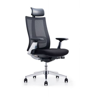    Norden Vogue aluminium -      - "  "