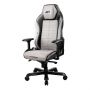    DXRacer I-DMC/IA237S/GN