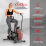   Schwinn Airdyne AD2i air bike (100430)