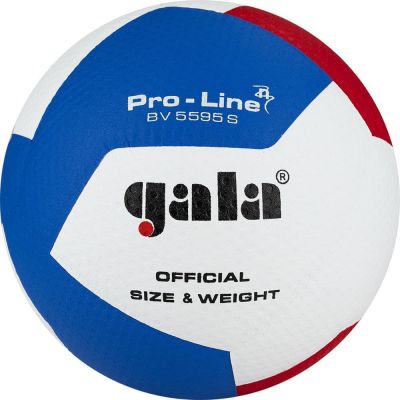 Волейбольный мяч Gala Pro-Line 12 BV5595SA. р. 5 - купить по специальной цене в интернет-магазине "Уют в доме"