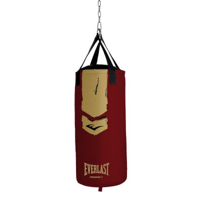    Everlast Prospect 2 -      - "  "