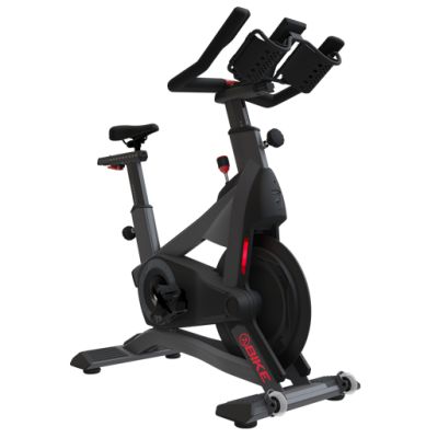 - Schwinn ZS Bike -      - "  "