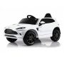   Rivertoys Aston Martin P888PP