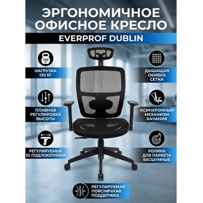������ ��� ��������� Everprof Dublin - ������ �� ����������� ���� � ��������-�������� "��� � ����"