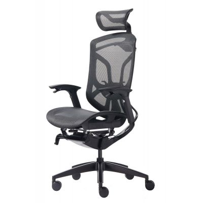    GT Chair Dvary X -      - "  "