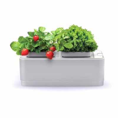    iGarden IG2021  -      - "  "