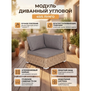 ������ ����� 4SIS ������