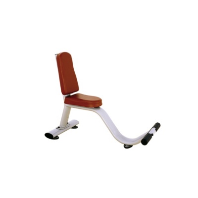   Bronze Gym H-038 -      - "  "