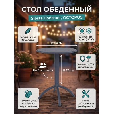 ���� ��� ���� Siesta Contract Octopus - ������ �� ����������� ���� � ��������-�������� "��� � ����"