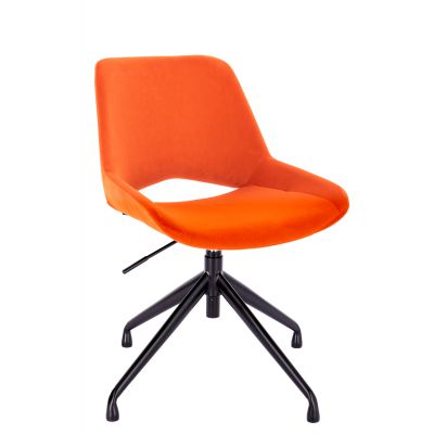  Everprof Oscar  -      - "  "