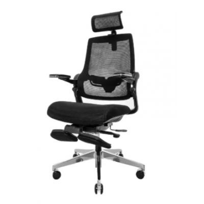    Falto Miwa   -      - "  "