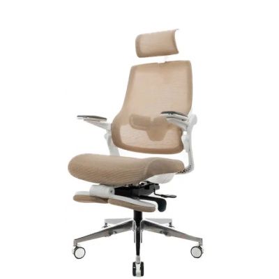    Falto Miwa   -      - "  "