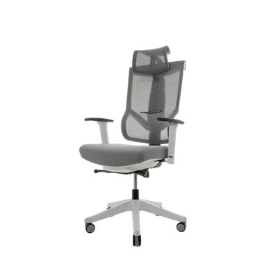    Falto Hoshi Fabric   -      - "  "