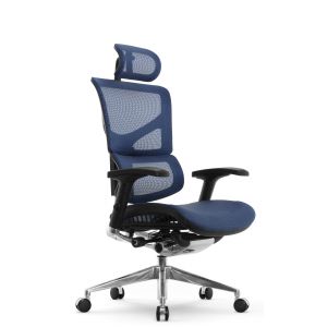 Эргономичное кресло Falto Expert Sail HSAM 01 (сетка синий/ каркас черный)