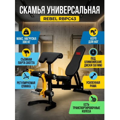 ������������� ������ REBEL RBPC43 - ������ �� ����������� ���� � ��������-�������� "��� � ����"