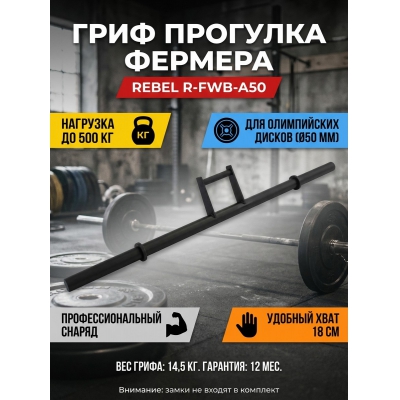 ���� ��� ������ REBEL �������� ������� Farmers walk - ������ �� ����������� ���� � ��������-�������� "��� � ����"